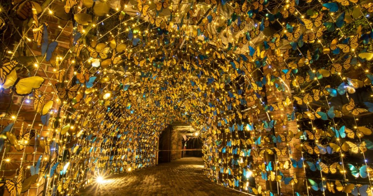 Visite el alumbrado navideño en el Jardín Botánico de Bogotá Radiónica